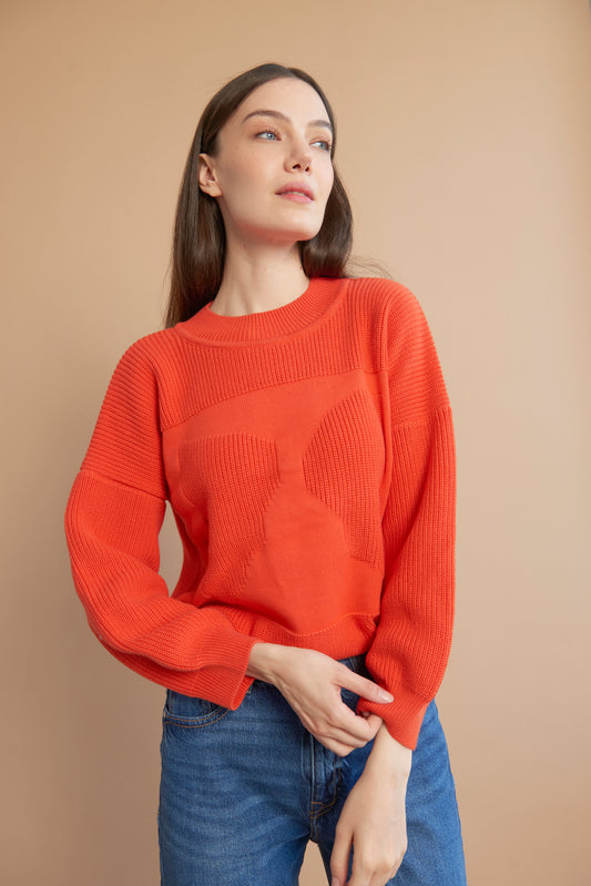 MOA jumper carota